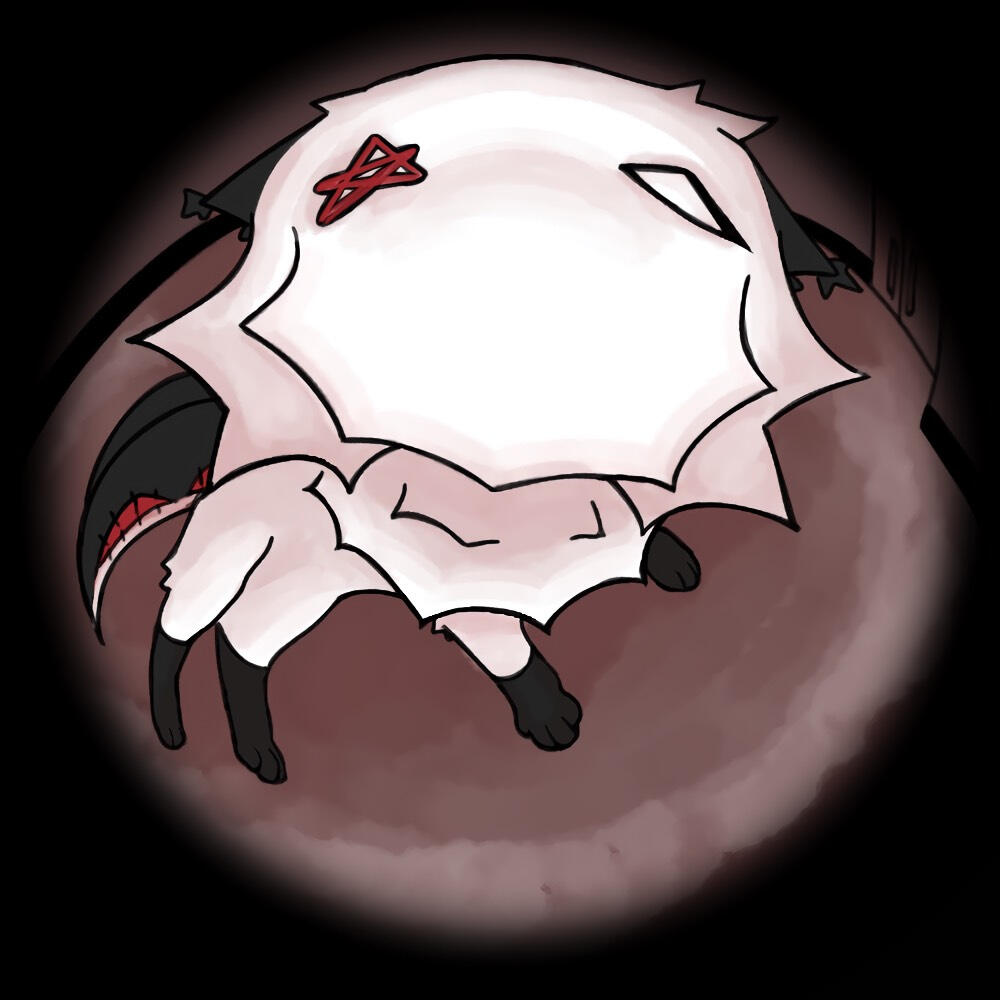 AMRAK FISHEYE, 2024