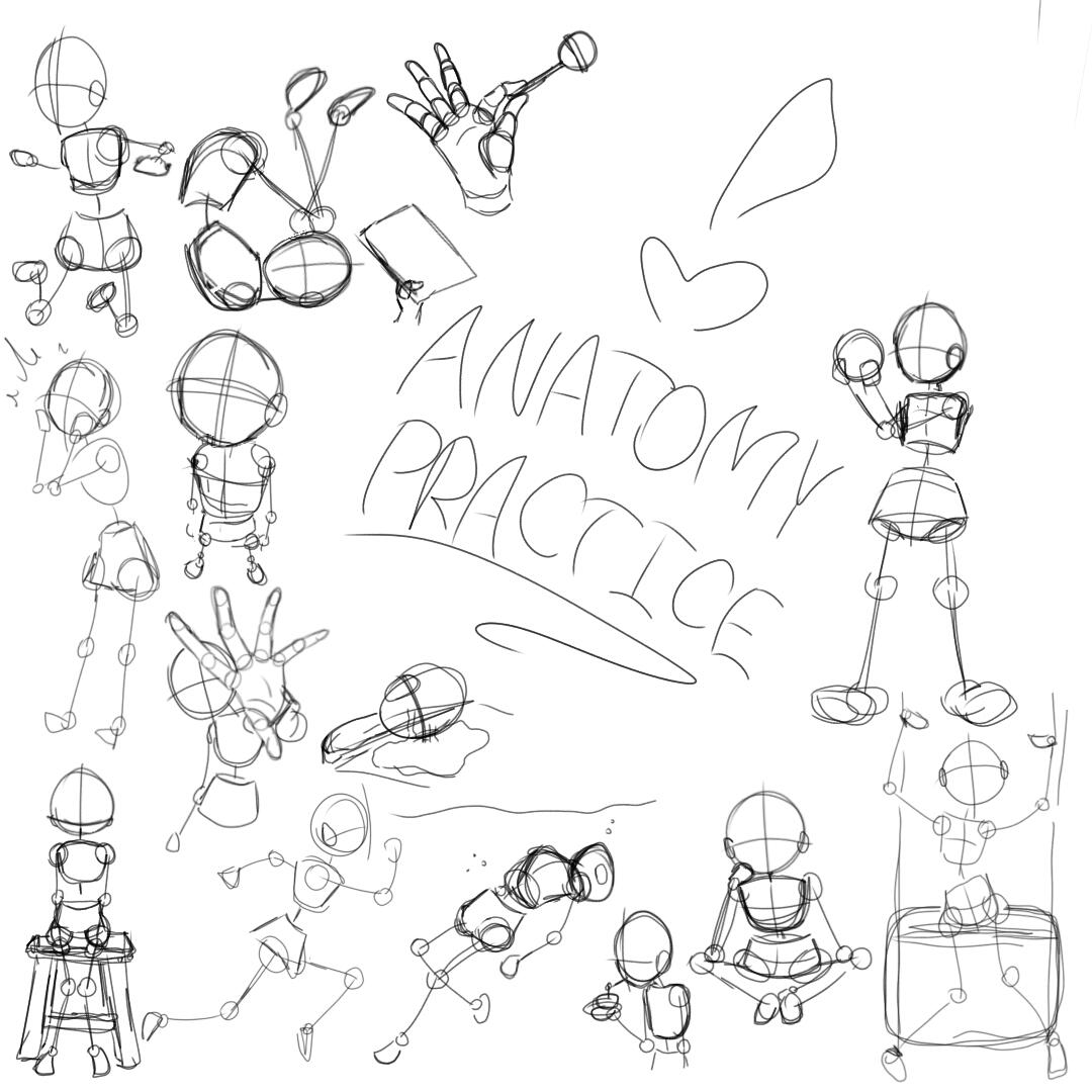 "ANATOMY PRACTICE", 2023